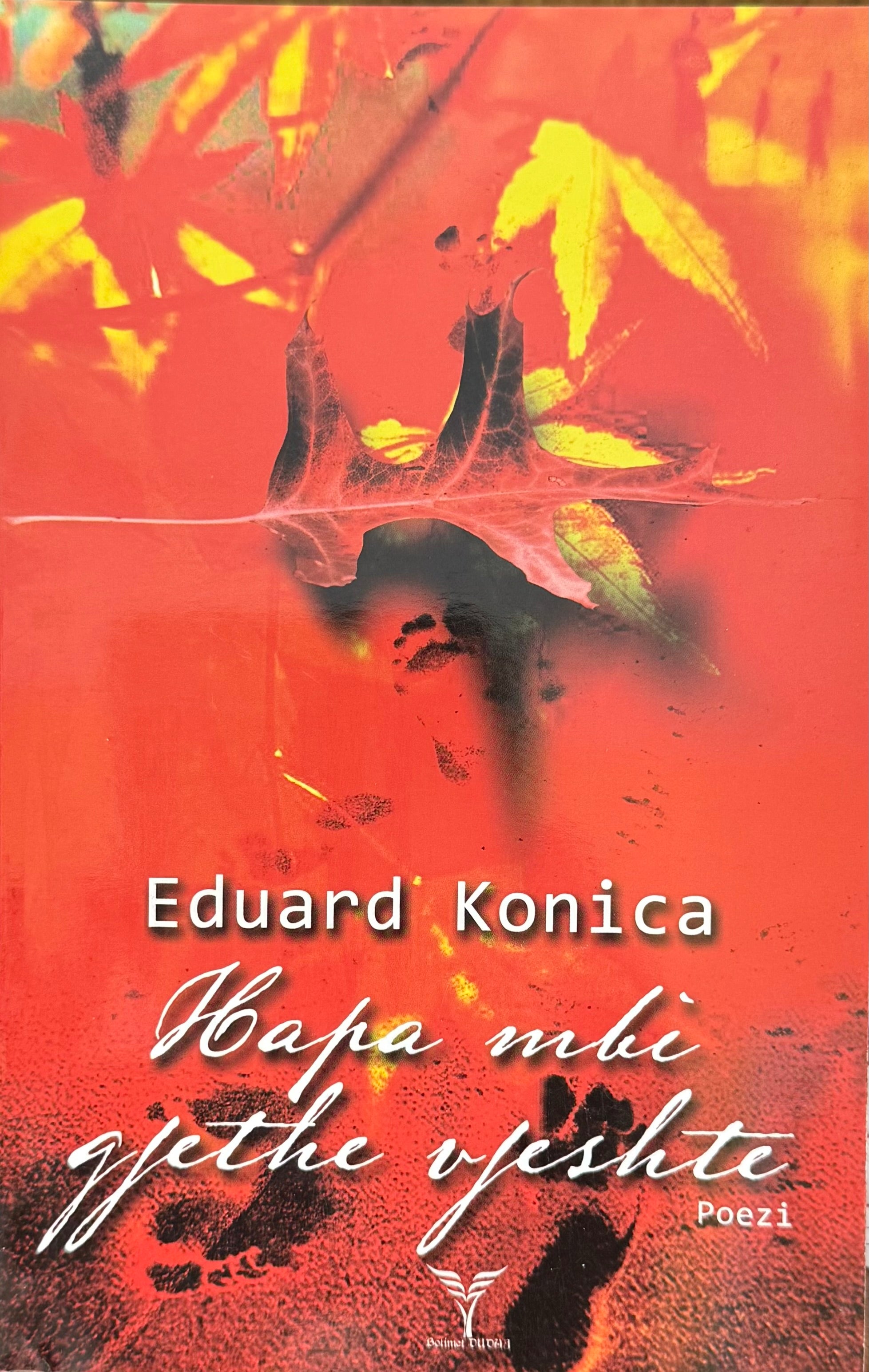 Hapa Mbi Gjethe Vjeshte